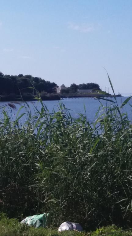 מלון בירג'י וקי Il Gelsomino Birgi מראה חיצוני תמונה